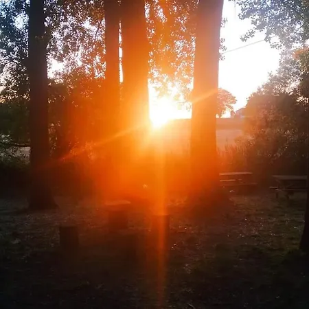 El Pinsapo