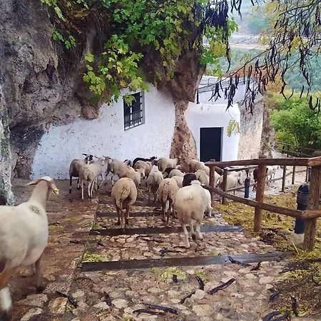 El Pinsapo * Cuevas del Becerro